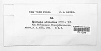 Image Associated With the Occurence